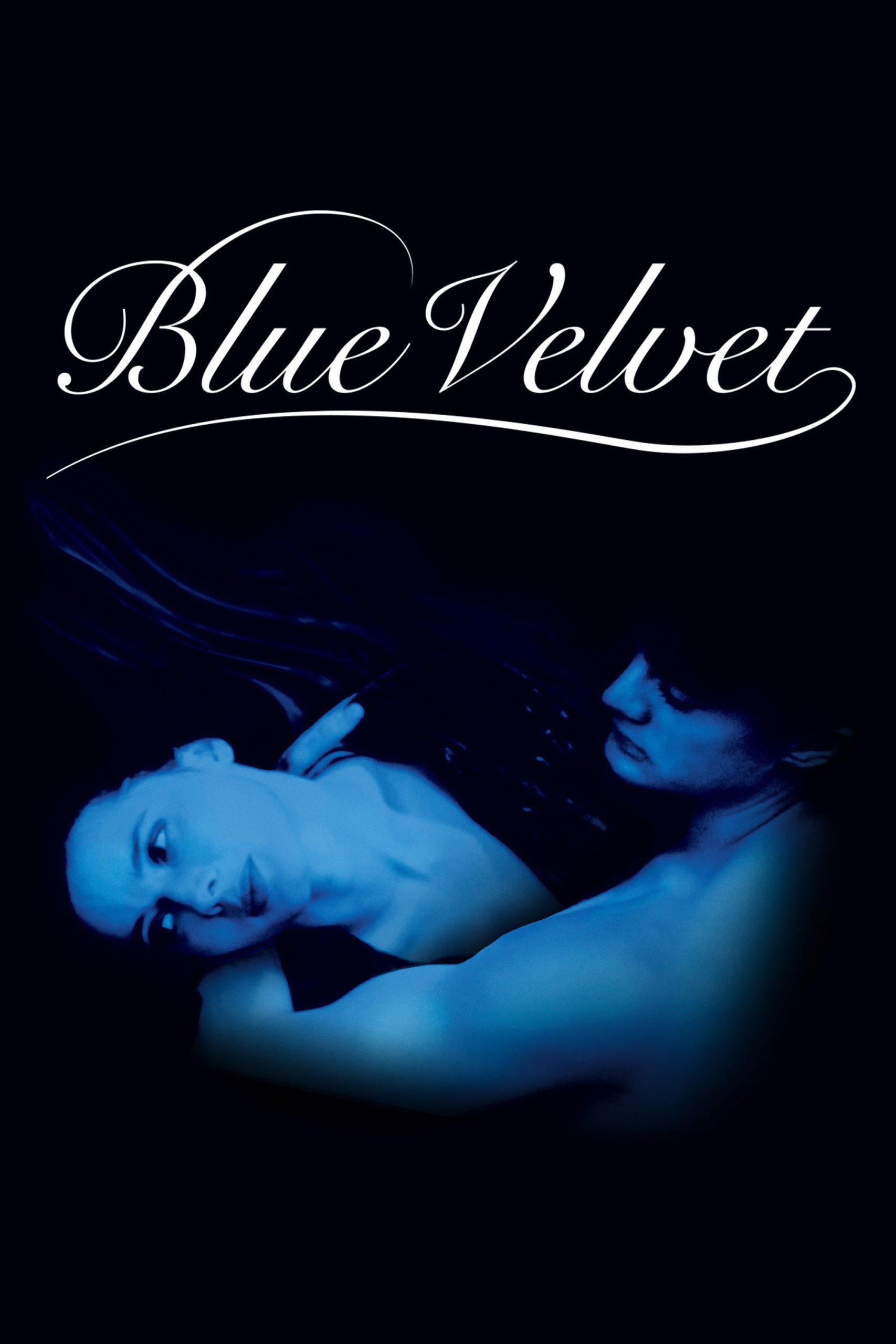 Blue Velvet.jpg